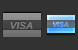 Visa card icon